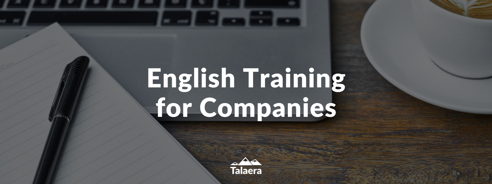 7 Undeniable Reasons Your Company Needs An English Training Solution