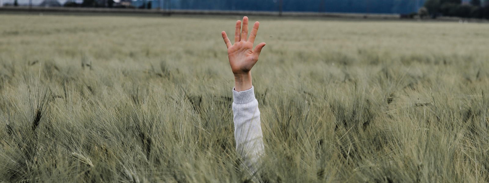 5 Tough Situations Faced By Non-Native Employees (And How To Handle Them)