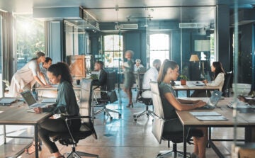 People working at desks in a modern, glass-walled office with laptops and papers. Sunlight streams in, creating a focused, busy atmosphere.