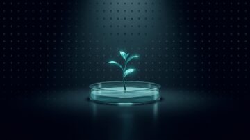 corporate language training roi